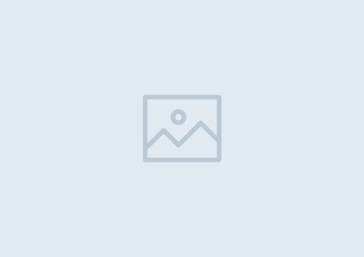 パンダをテーマにした家族向け客室